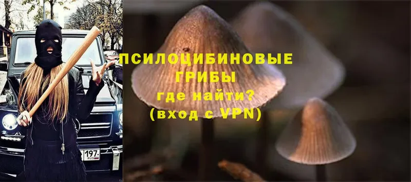 Псилоцибиновые грибы Psilocybe  наркотики  Заволжье 